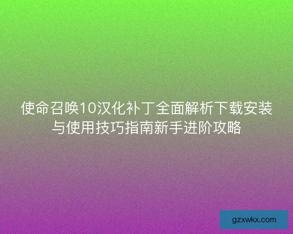 使命召唤10汉化补丁全面解析下载安装与使用技巧指南新手进阶攻略